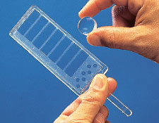 光学表面质量对照条